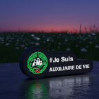 Mini Enseigne LED Véhicule – Auxiliaire de Vie